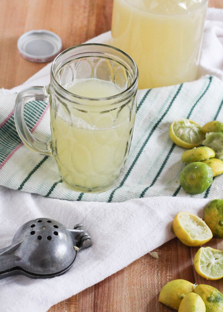 Mexican Limeade