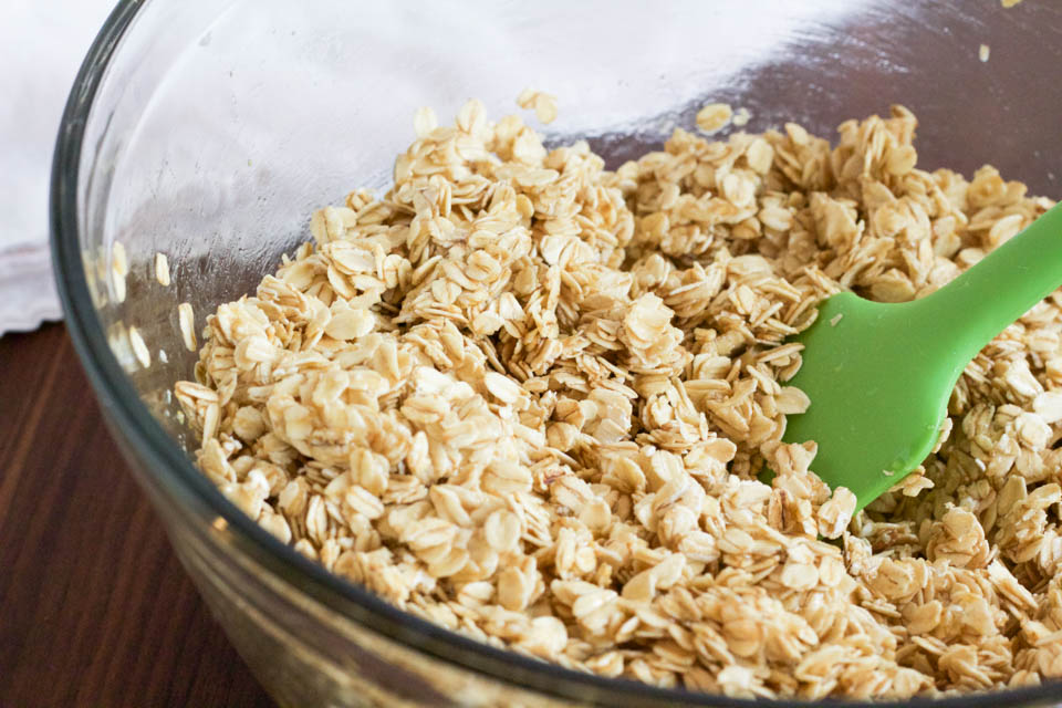 Cacao Nib Almond Granola