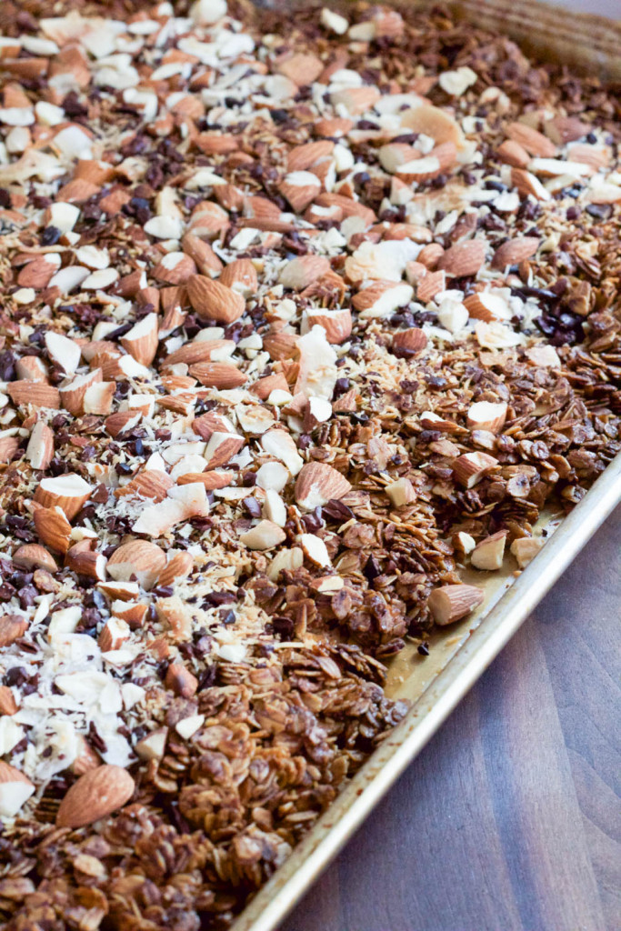 Cacao Nib Almond Granola