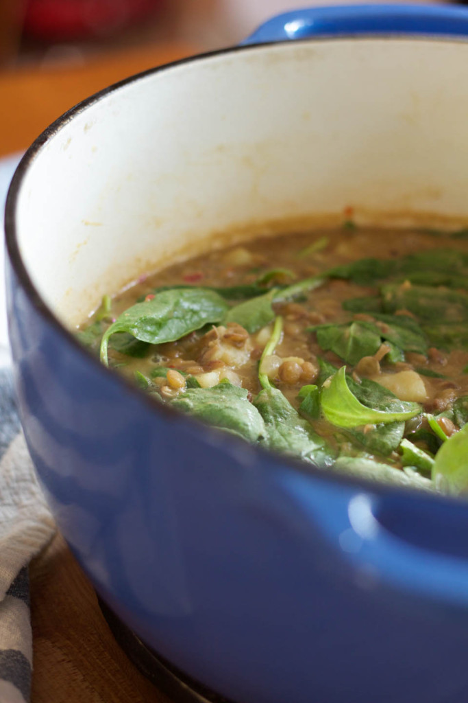 Creamy Lentil Soup