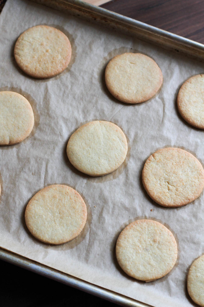 Ginger Sugar Cookies with Clementine Frosting