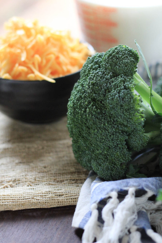 Broccoli Cheddar Soup