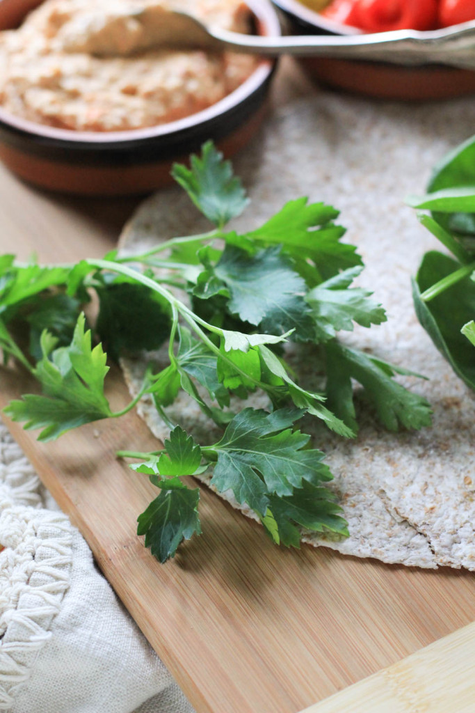 Hummus Wrap