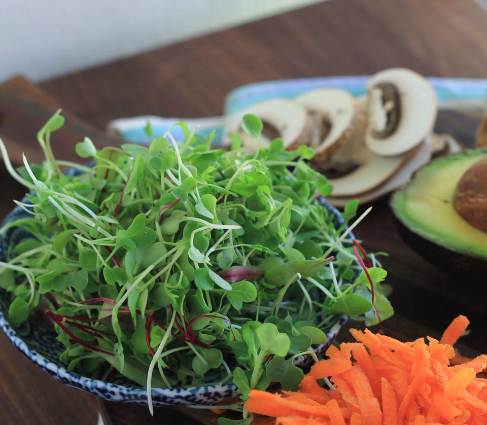 Avocado Sprout Vegetable Sandwich