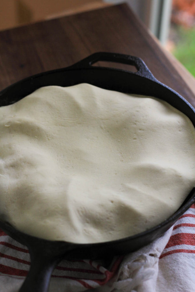 Apple Tarte Tatin