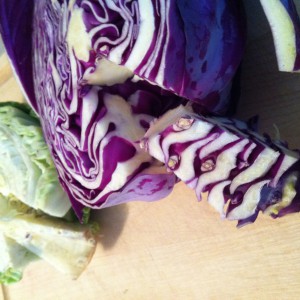 Cabbage Chopping