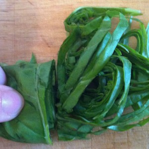 Chiffonade Basil