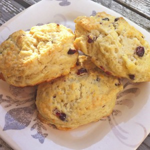 Orange Cranberry Scone