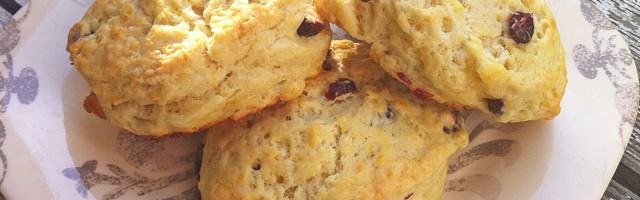 Orange Cranberry Scone