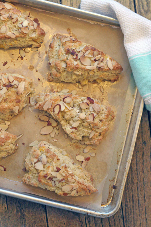 Clementine Buttermilk Almond Scones