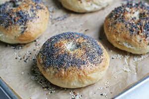 Homemade Bagels - Not Just Baked
