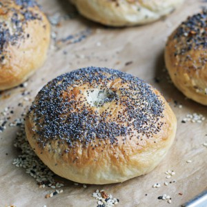 Homemade Bagels - Not Just Baked