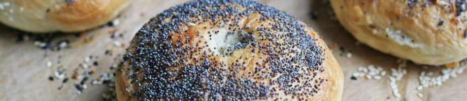 Homemade Bagels - Not Just Baked