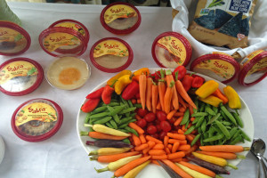 Sabra Party BlogHer Miami