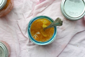 Apricot Jam