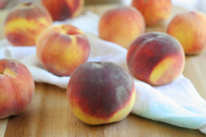 Peach Grunt
