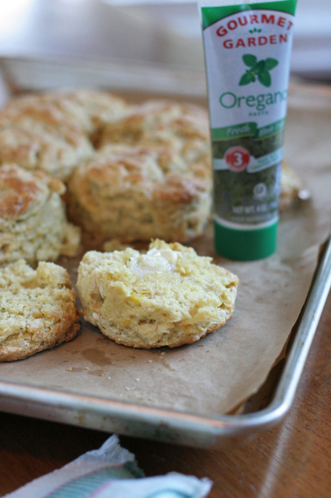 Herb Goat Cheese Squash Biscuits