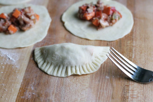Salsa Chicken Empanadas