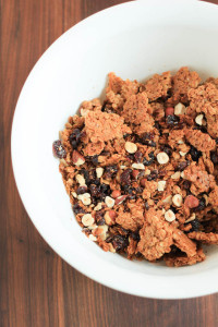 Dried Cherry Hazelnut Granola