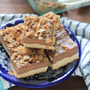 Coconut Dark Chocolate Cheesecake Bars