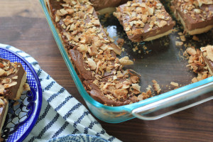 Coconut Dark Chocolate Cheesecake Bars
