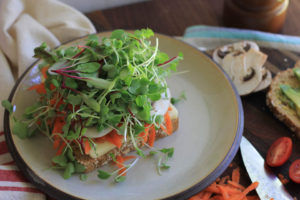 Avocado Sprout Vegetable Sandwich