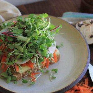 Avocado Sprout Vegetable Sandwich