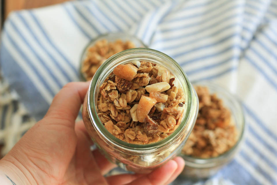 Fig Apple Hazelnut Granola Healthy Breakfast and Snack Recipe