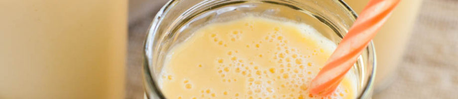 Mango Cantaloupe Dessert Smoothie